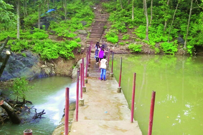 ( संग्रहीत प्रतिकात्मक छायाचित्र )