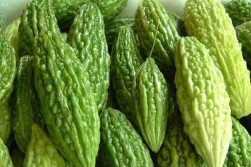 कारल्यामध्ये कॅल्शिअम, लोह, फॉस्फरस ‘अ’, ‘क’ जीवनसत्त्व भरपूर प्रमाणात असतात.