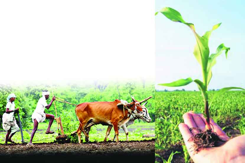 एमपीएससी मंत्र : महाराष्ट्र कृषि सेवेचा अभ्यास