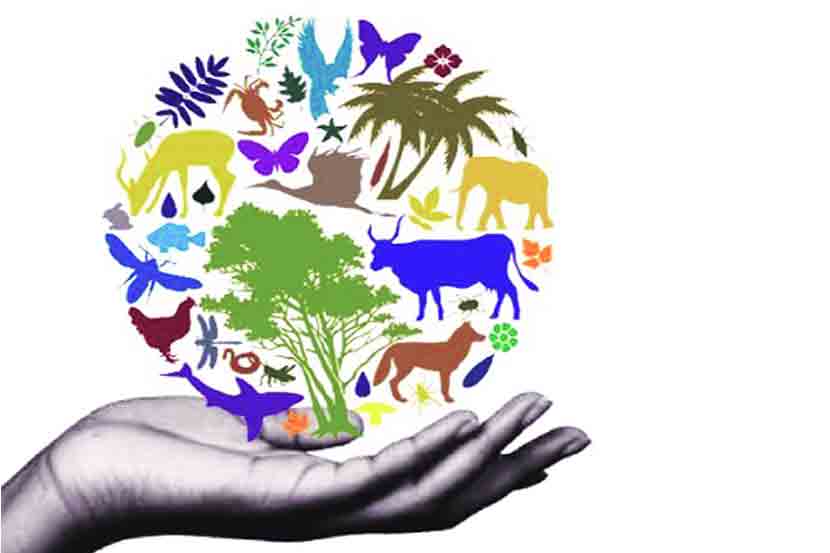 यूपीएससीची तयारी : जैवविविधता आणि पर्यावरण