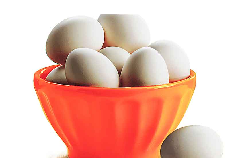 eggs