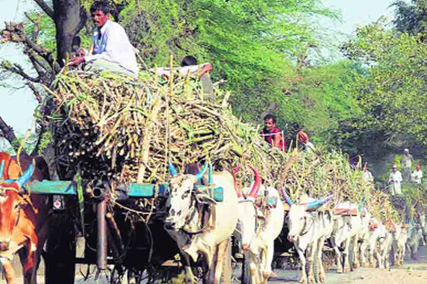 ऊसतोडणी कामगारांचे प्रश्न कधी सुटणार?