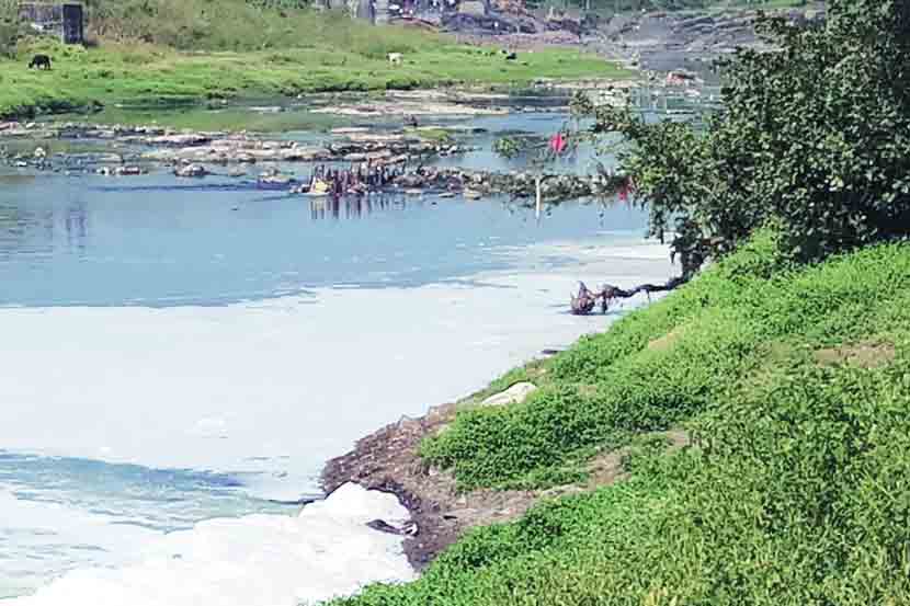 प्रक्रिया न करता सोडलेल्या सांडपाण्यामुळे गोदावरीची झालेली अवस्था.