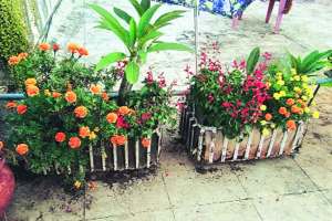 Terrace Garden