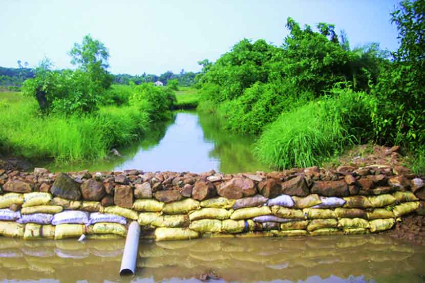 गेल्या वर्षी ठाणे जिल्हा कृषी विभागाने ८४४ वनराई बंधारे बांधले