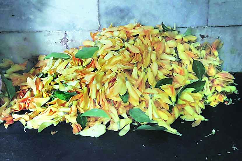 Vegetables flowers prices fall in vasai