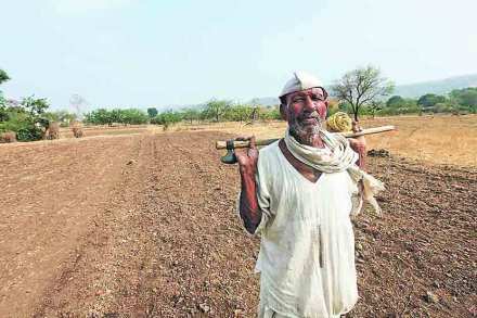 ( संग्रहीत प्रतिकात्मक छायाचित्र )