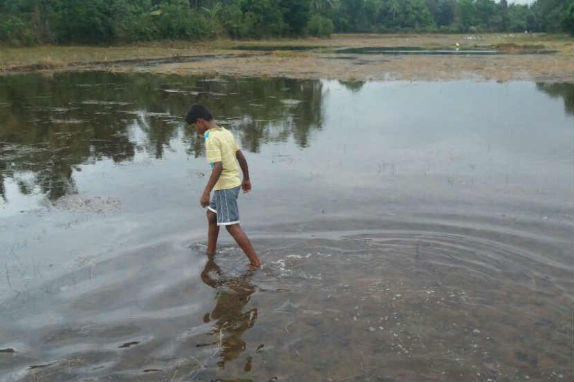 ‘अवकाळी’ अवकळा..