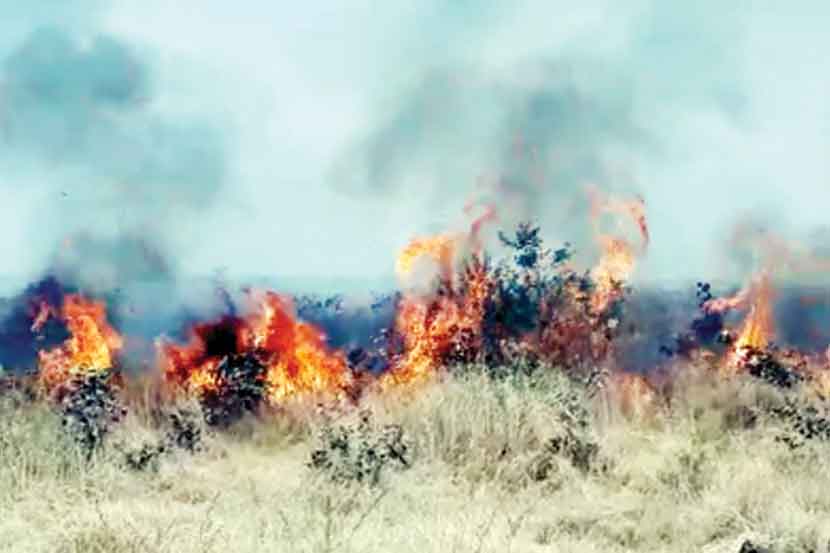 Fire In Gorewada forest