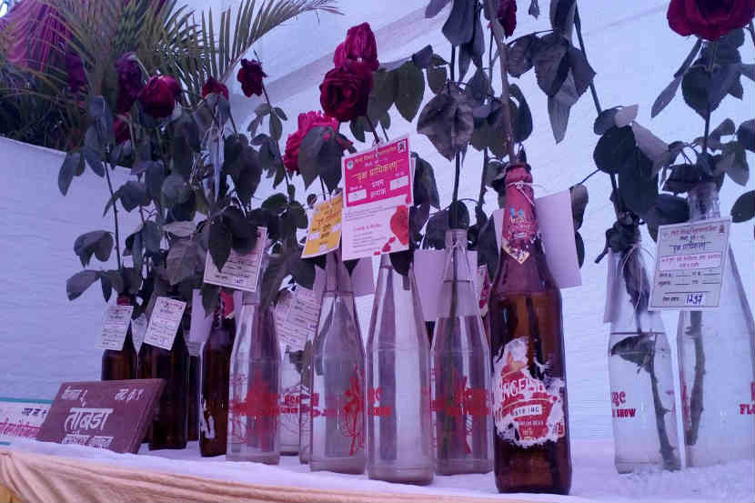बिअरच्या बाटलीत फुलं; पालिकेनं भरवलं अजब प्रदर्शन