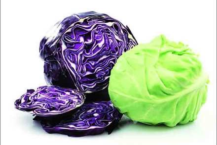 Green and purple cabbage