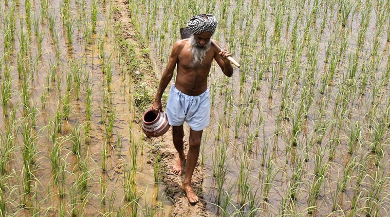 Union Budget 2018 Live Updates,Union Budget 2018 Live,union budget 2018,union budget 2018 news in marathi,union budget 2018-19,union budget,union budget 2018-19 latest news,budget in marathi,Union budget in marathi,Union budget 2018 in marathi,Indian Budget 2018,Indian Budget 2018 news in Marathi,budget 2018,budget news in Marathi