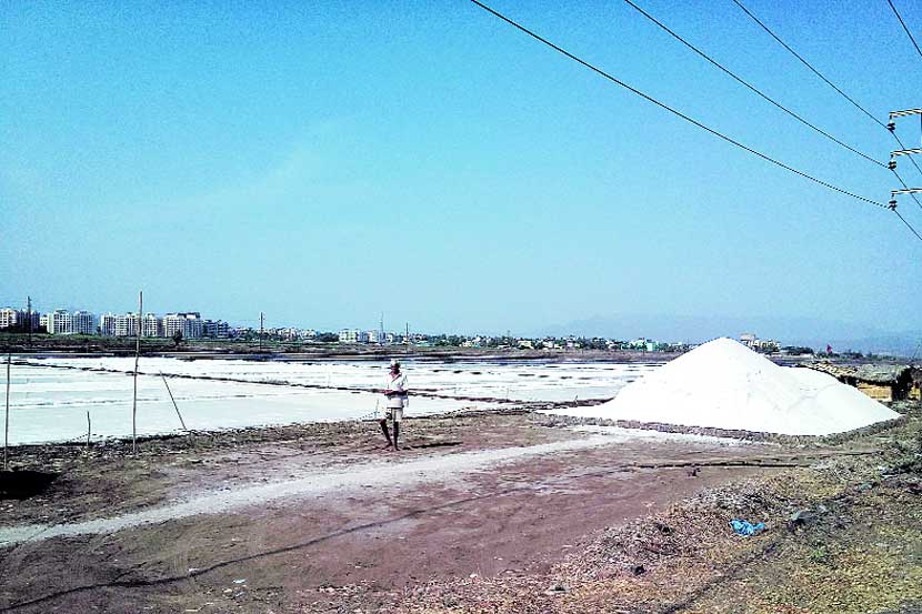 Salt pan lands in Mumbai