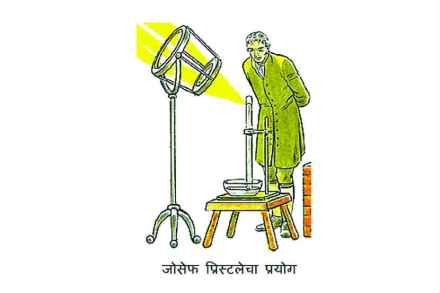 (संग्रहित छायाचित्र)