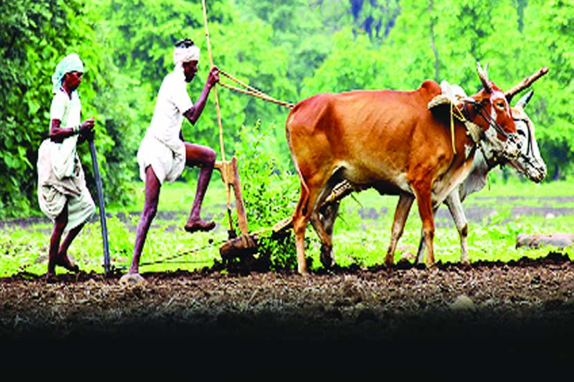 agriculture mahotsav in nashik