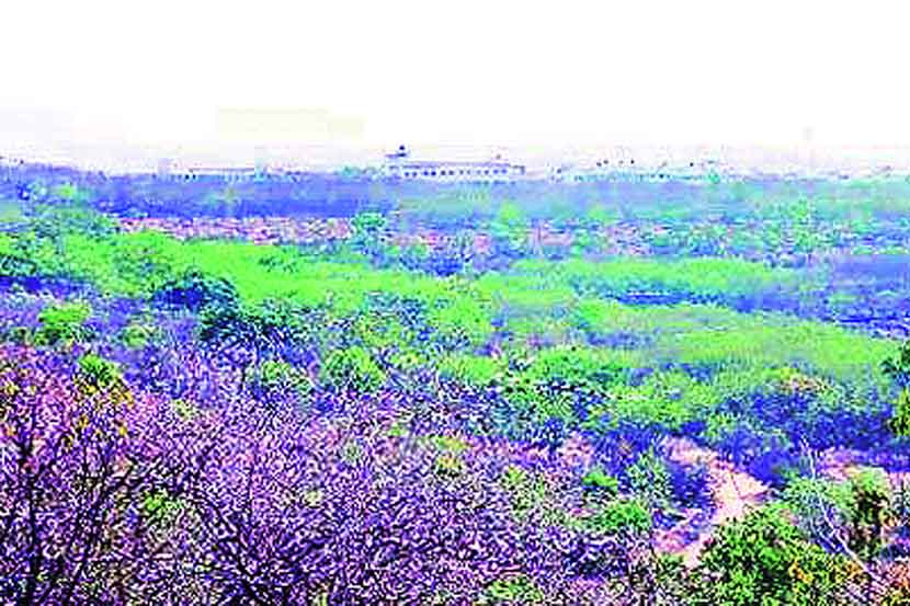 संग्रहित प्रतिनिधिक छायाचित्र