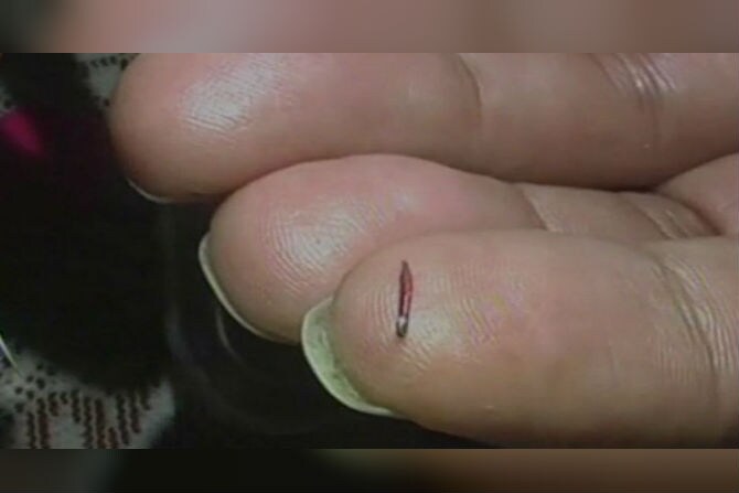 worlds smallest pencil