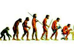 उत्क्रांती : एक अर्थउकल