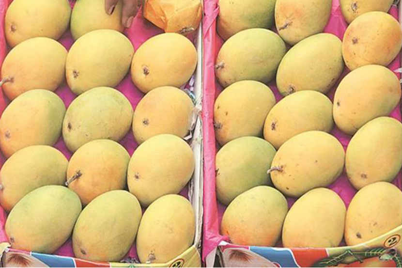 प्रतिकात्मक छायाचित्र
