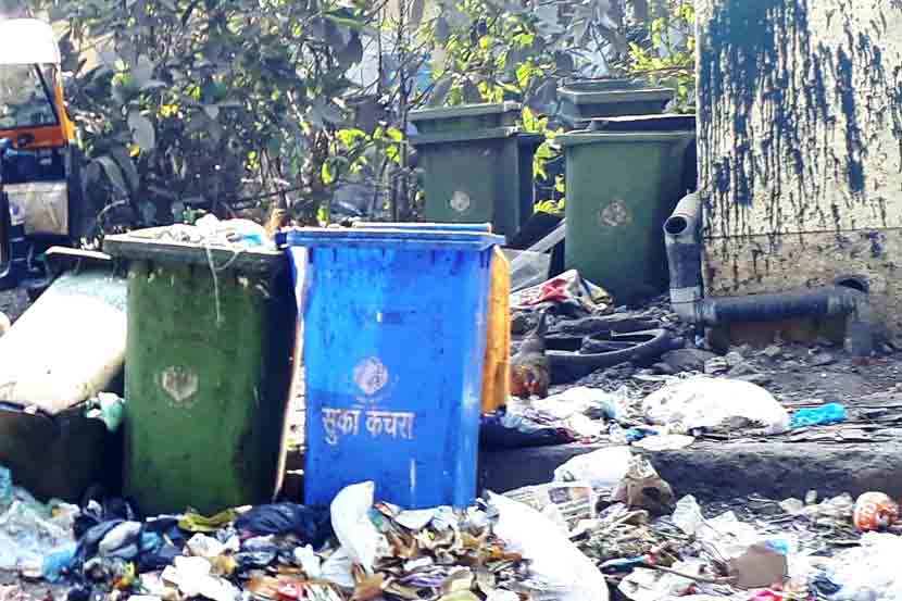 वसई-विरारमधील कचराकुंडीत प्लास्टिकच्या पिशव्यांचा खच पडला आहे. 