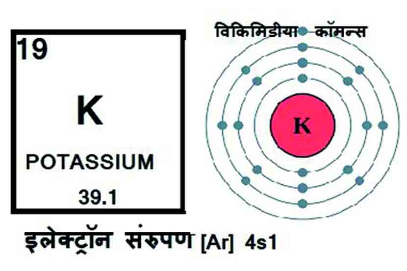कुतूहल : पोटॅशिअम ( पलाश )