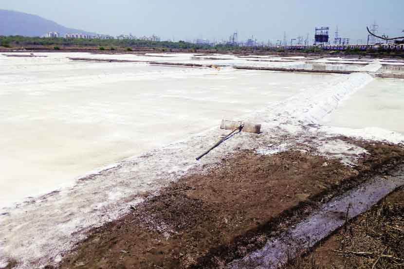 Salt pans of Mumbai