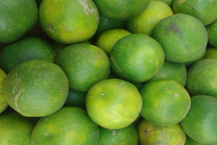 mosambi