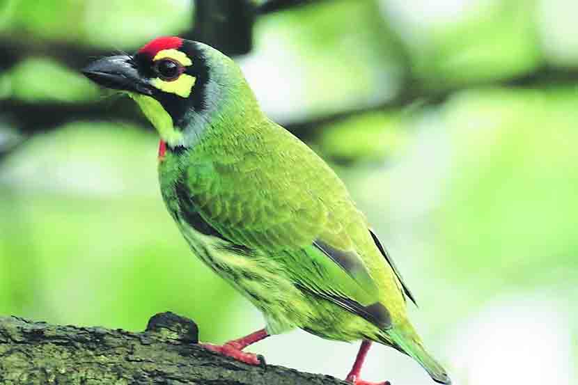 संग्रहित प्रतिनिधिक छायाचित्र