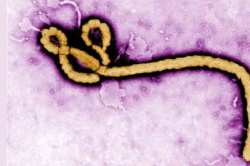 इबोलावर प्रभावी लस तयार करणे शक्य