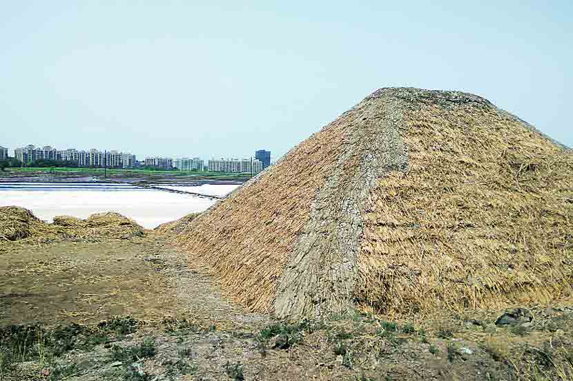 पावसाळय़ात मीठ भिजू नये यासाठी मिठाचे ढिगारे झाकण्यात येत आहेत.