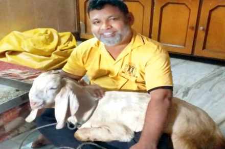 मुंबईत दारासमोरुन बकऱ्या चोरल्या, माहिती देणाऱ्याला १ लाखाचे इनाम