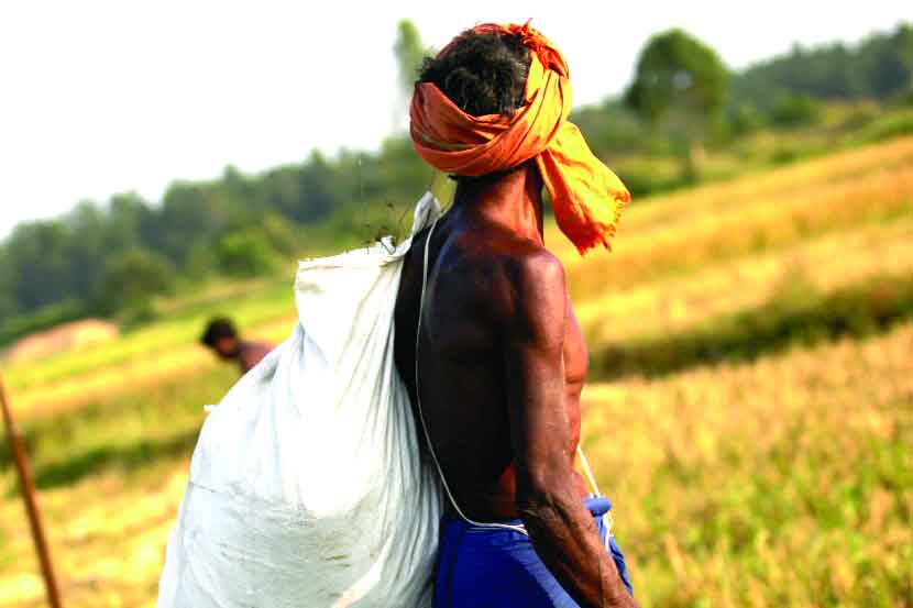 ( संग्रहीत प्रतिकात्मक छायाचित्र )