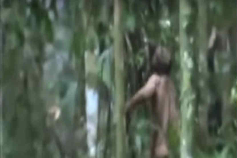Video : २२ वर्षांपासून जंगलात राहणारा ‘तो’ अखेर कॅमेरात कैद