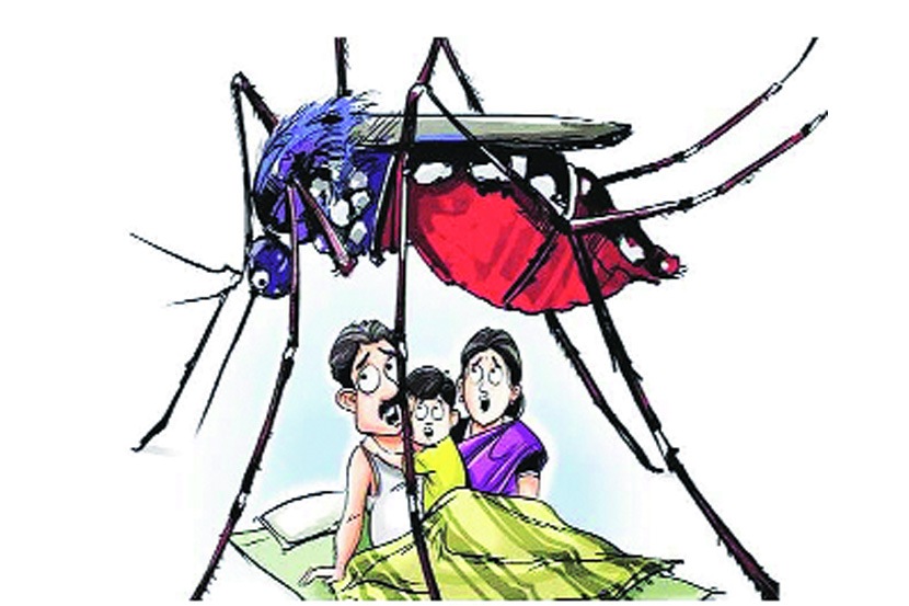 डेंग्यू, मलेरियाला घाबरू नका!