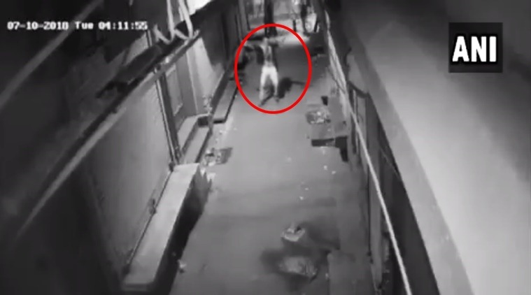 Video : चोरी करण्याआधी चोराने दुकानासमोर केला डान्स