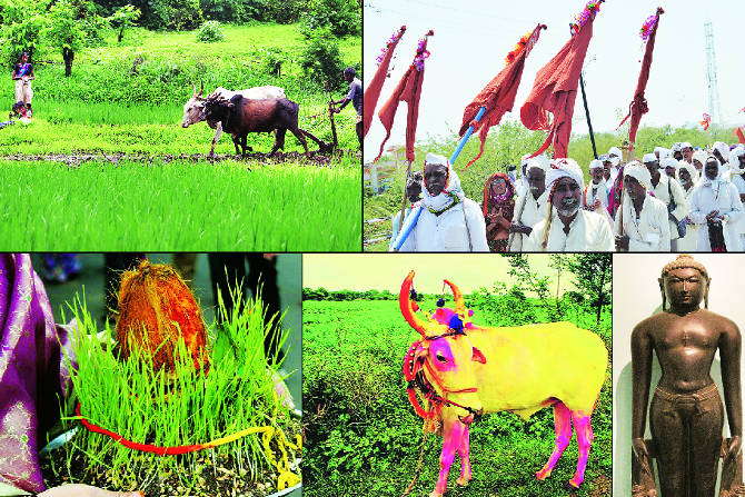 चातुर्मासातील सारेच सण हे कृषी संस्कृतीशीच जोडले आहेत.  केवळ हिंदूच नाही तर बौद्ध व जैन धर्मातदेखील चातुर्मासाचा संबंध दिसून येतो.
