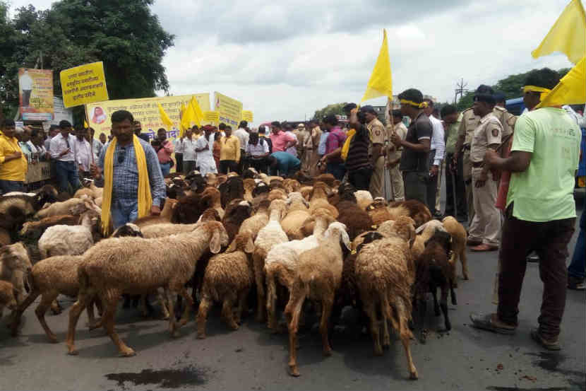 धनगर आरक्षणाची वाट बिकटच