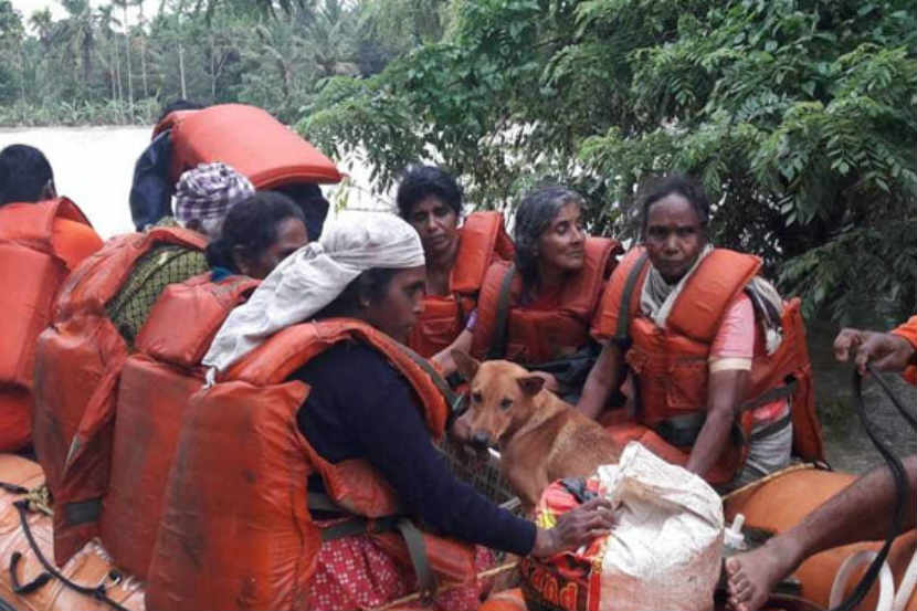 Kerala Floods : २५ कुत्र्यांना सोबत घेतल्याशिवाय तिने घर सोडण्यास दिला नकार