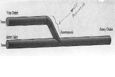 व्हीएनआयटीमध्ये तयार करण्यात आलेले कानाच्या मागील कृत्रिम हाड