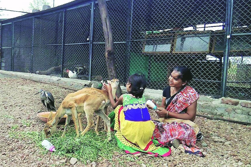 वन्यजीवांचे ‘माहेरघर’!
