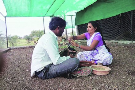 वन्यजीवांना मायेची ऊब देणारी ‘सिद्धार्थ-सृष्टी’!