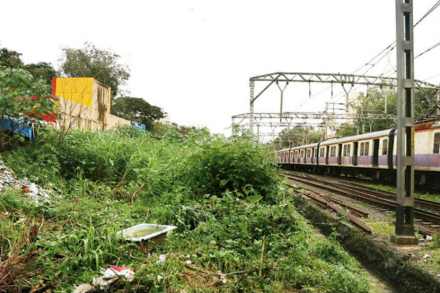 मालाड स्टेशनच्या झुडुपात सापडला मानवी सांगाडा, अंगावर महिलेचे कपडे