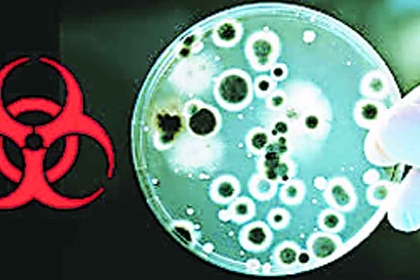 पेट्री डिशमधील कल्चरवर सूक्ष्मजीवांची वाढ