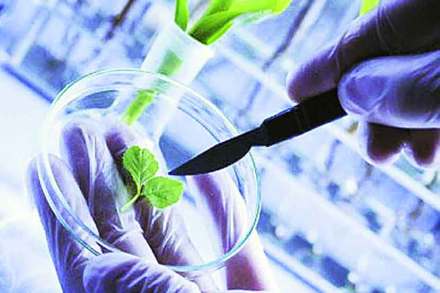 नॅशनल इन्स्टिटय़ूट ऑफ इम्युनॉलॉजी, नवी दिल्ली

