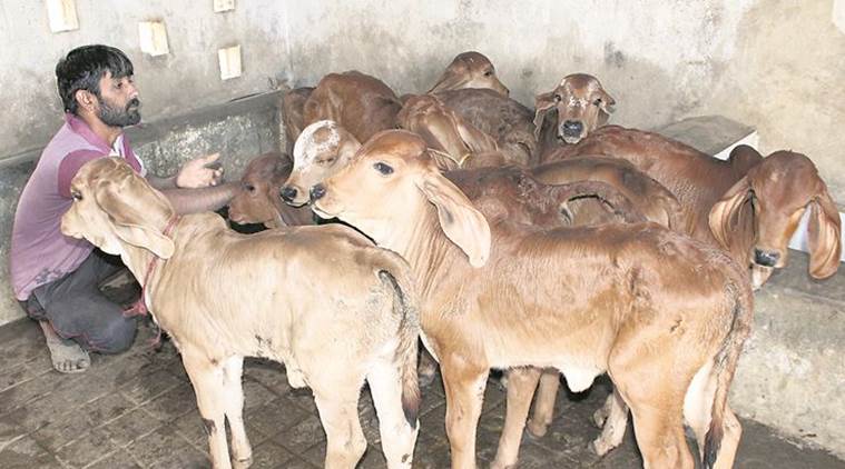 संग्रहित छायाचित्र