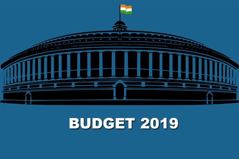 Budget 2019 : ‘कामधेनू’ अर्थसंकल्प!