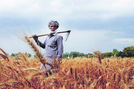 Budget 2019 : ..तर शेतकऱ्यांना मोठी रक्कम देता आली असती!