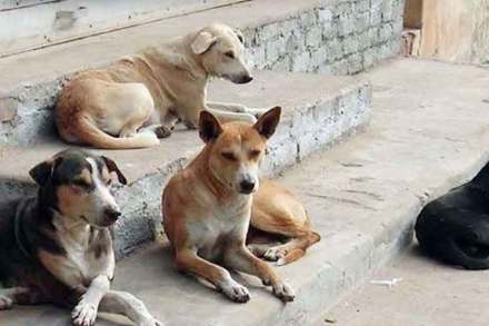 (संग्रहित छायाचित्र)
