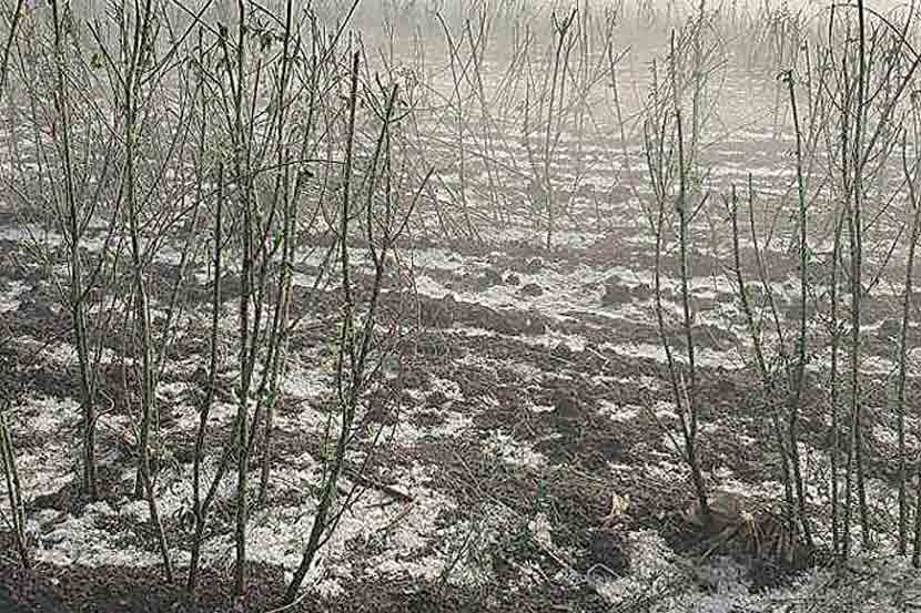 संग्रहित छायाचित्र