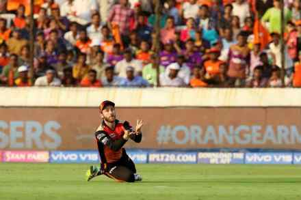 IPL 2019 : सामन्याआधीच हैदराबादला धक्का, कर्णधार विल्यमसन मायदेशी परतला